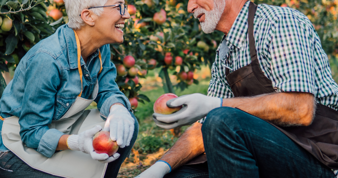 Alternative Health Products | Bradford Wellness Co.