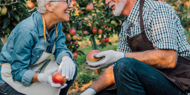 Alternative Health Products | Bradford Wellness Co.