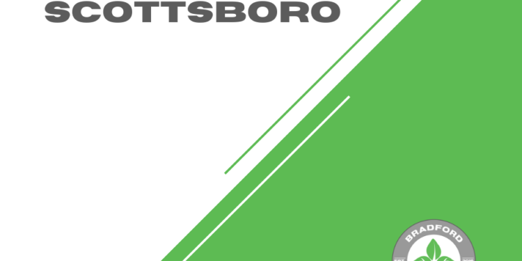 CBD Gummies in Scottsboro | Bradford Wellness Co.