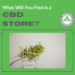 CBD Store | Bradford Wellness Co.