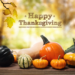 Thanksgiving Gift Guide | Bradford Wellness Co.