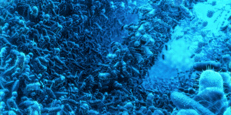 Probiotics may protect against low mood in marathon runners