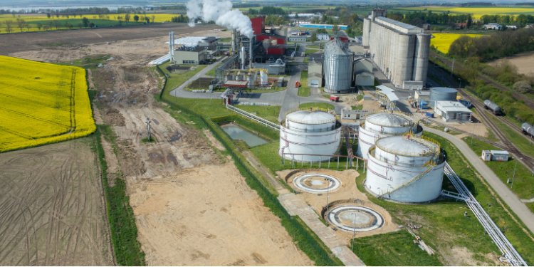 A Sustainable Alternative to Fossil Fuels– The Trost
