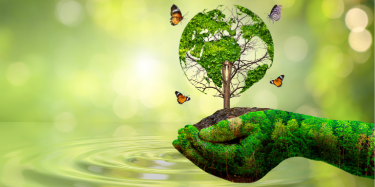 Why Hemp Is a Game-Changer for the Environment– The Trost