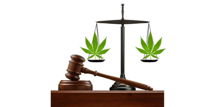 Is Hemp Legal in India? Everything You Need to Know– The Trost