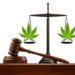 Is Hemp Legal in India? Everything You Need to Know– The Trost