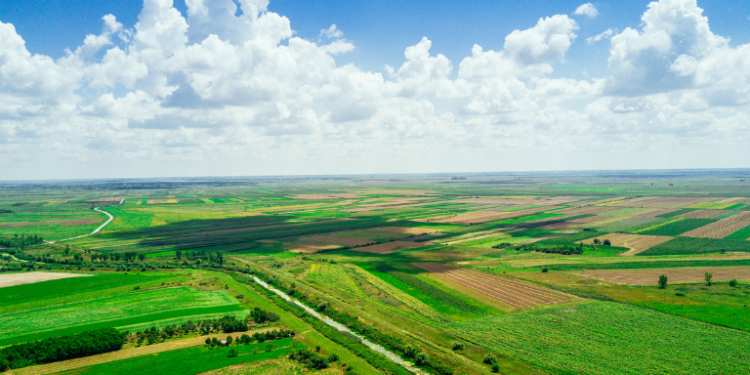 How Hemp Farming is Transforming Rural Economies in India– The Trost