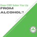 Does CBD Sober You Up from Alcohol?
