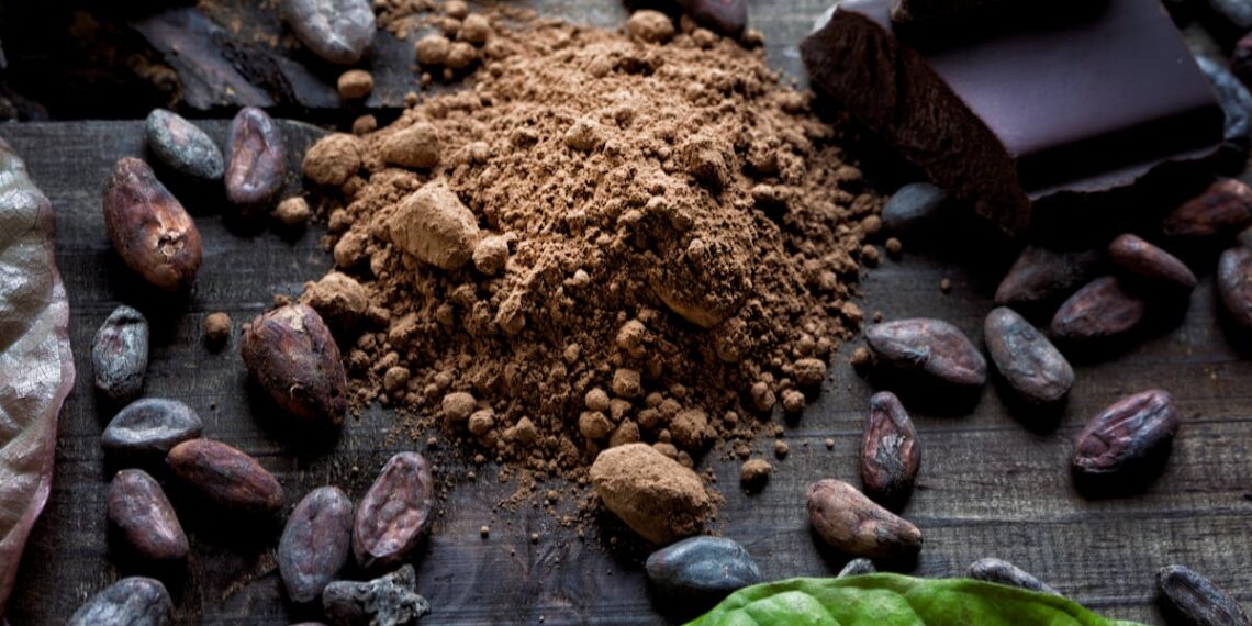 Cocoa compounds may protect blood vessels from stress