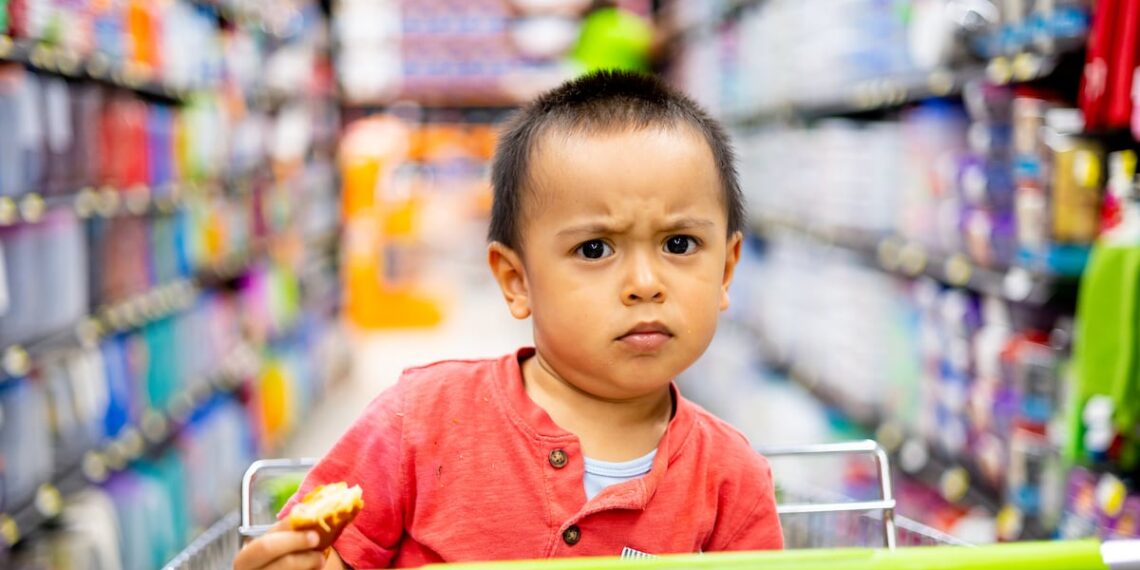 The influence of prenatal iodine on infant temperament