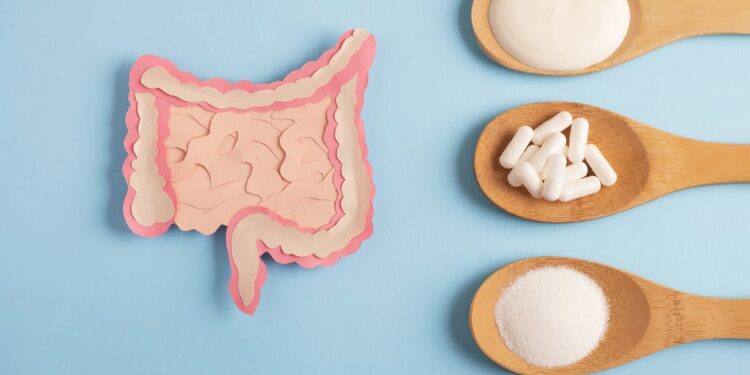 IPA outlines 2024 achievements in probiotics, prebiotics and postbiotics