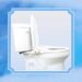 Tushy Wave Bidet Review: Tested by a First-Time Bidet-User