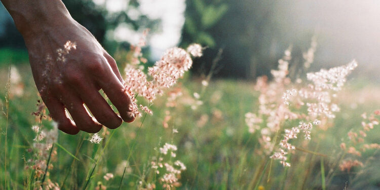 How Nature Will Help Us Heal in 2025