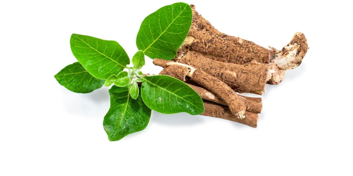 Ashwagandha extract may improve stress and anxiety