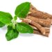 Ashwagandha extract may improve stress and anxiety
