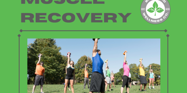 Best Natural Supplements for Muscle Recovery