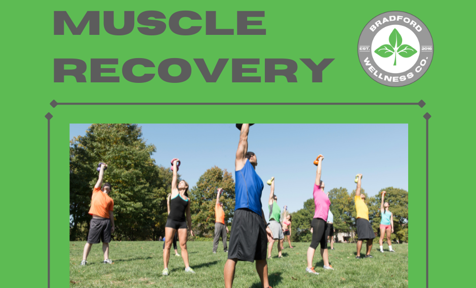 Best Natural Supplements for Muscle Recovery