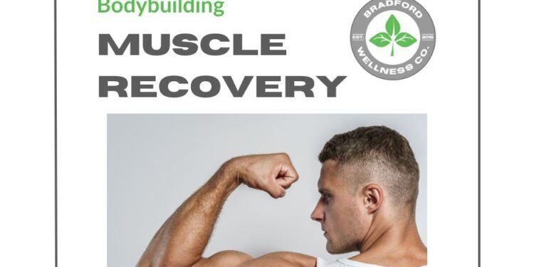 Bodybuilding Muscle Recovery | Bradford Wellness Co.