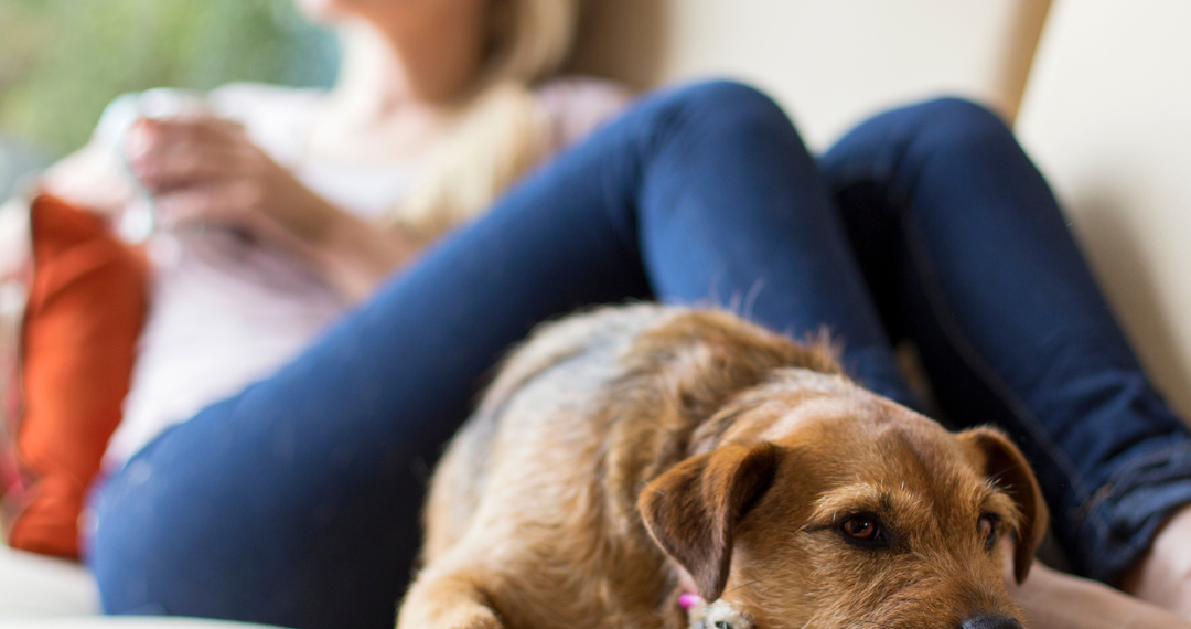 Natural Supplements for Relaxation | Bradford Wellness Co.