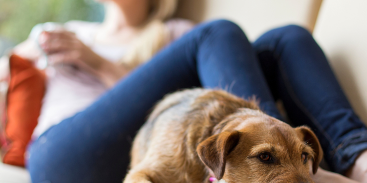 Natural Supplements for Relaxation | Bradford Wellness Co.