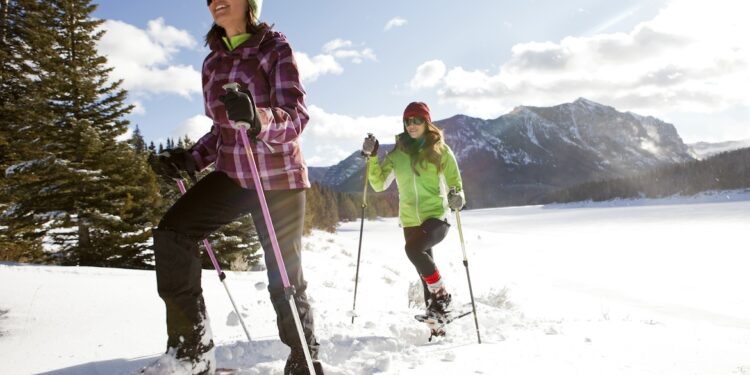 What Is Snowshoeing and Why Is It Becoming So Popular?
