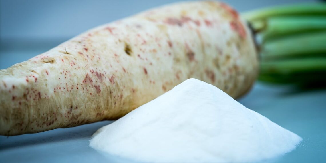 Chicory root prebiotics may aid weight management