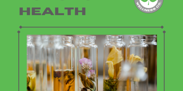 Types of Holistic Health | Bradford Wellness Co.