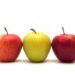 Prebiotic apple fibers may help manage obesity