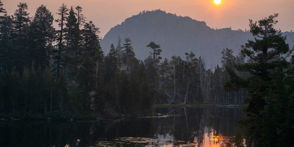 What It Means and How to Stay Safe