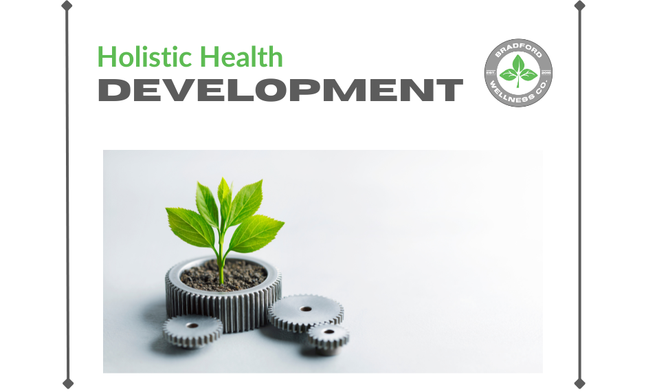 Holistic Health Development: A Whole-You Approach to Wellness