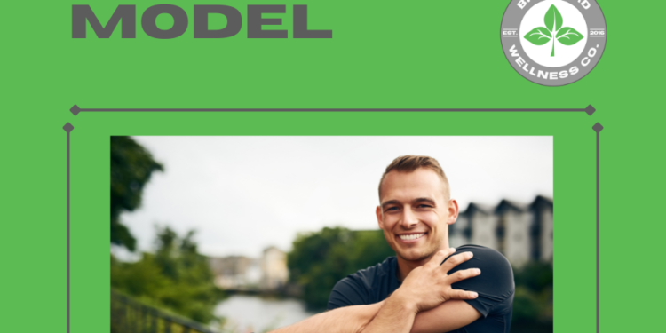 Holistic Wellbeing Model | Bradford Wellness Co.