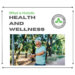 What is Holistic Health and Wellness?