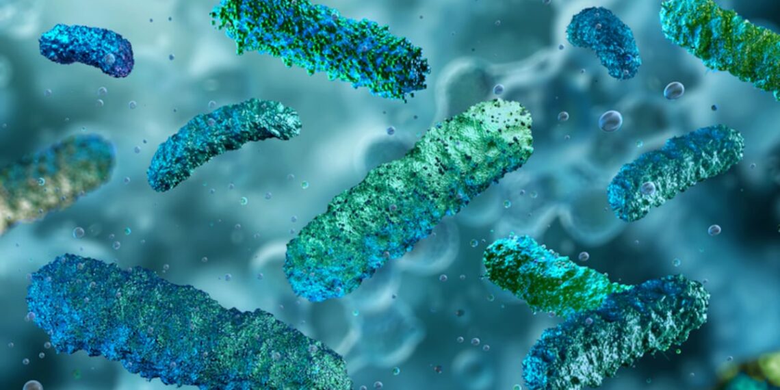 Study expands evidence for targeted prebiotic approaches