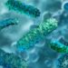 Study expands evidence for targeted prebiotic approaches