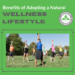 Benefits of Adopting a Natural Wellness Lifestyle