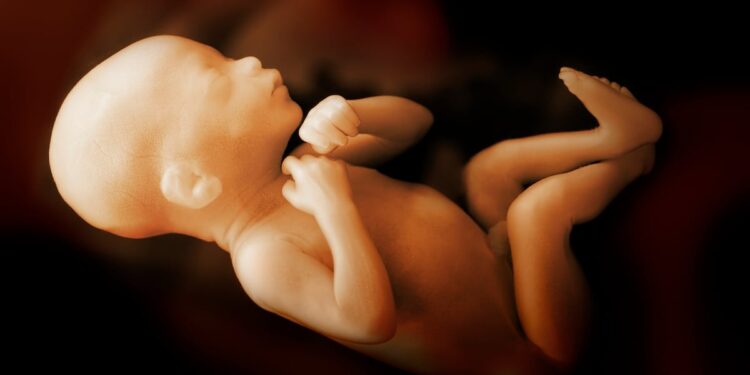 Obese pregnant women missing critical folic acid window