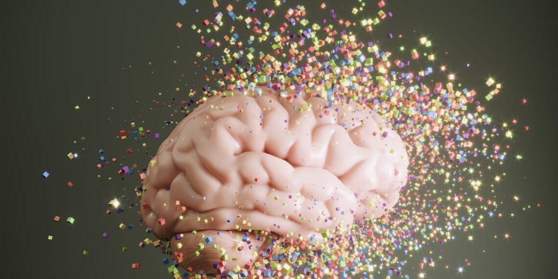 Bifidobacterium probiotics may slow cognitive decline