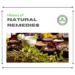 History of Natural Remedies | Bradford Wellness Co.