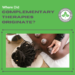 Where Did Complementary Therapies Originate?