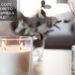 How To Make A Vanilla Candle?
– Moksha Lifestyle Products