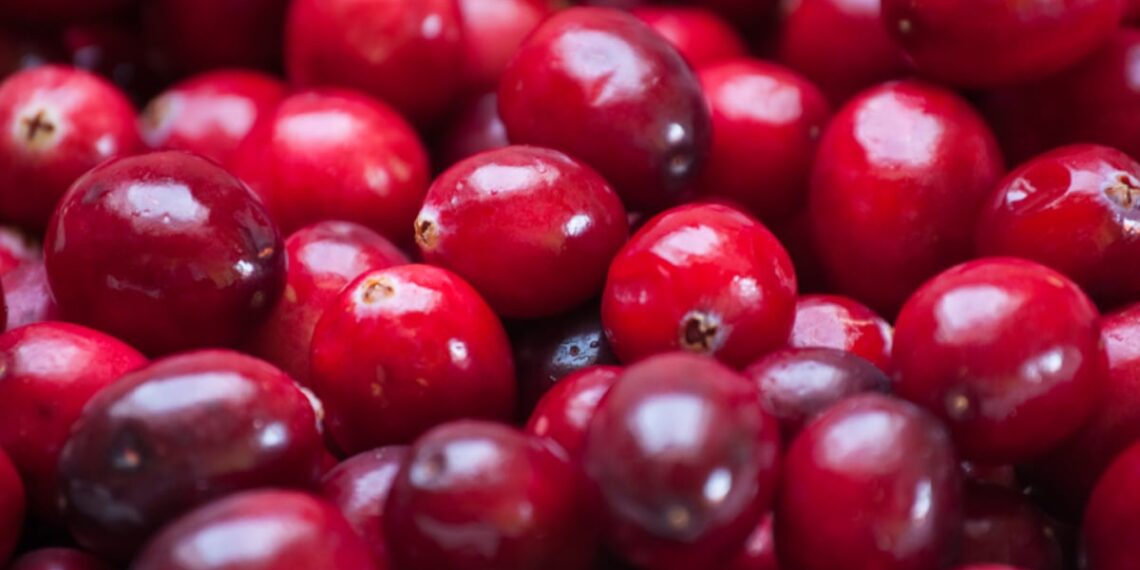 Givaudan’s pacran cranberry ingredient reduces UTI risk