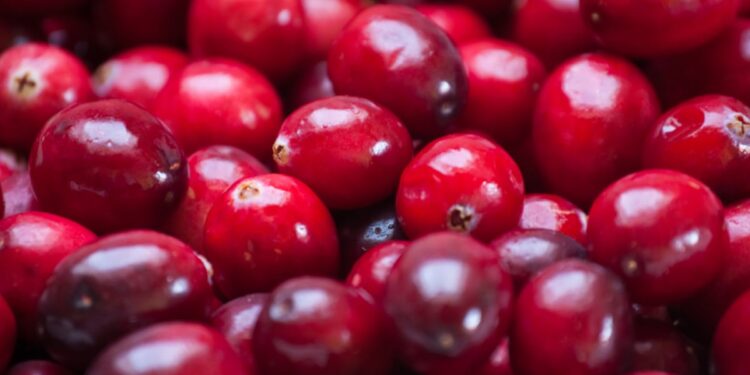 Givaudan’s pacran cranberry ingredient reduces UTI risk