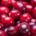 Givaudan’s pacran cranberry ingredient reduces UTI risk