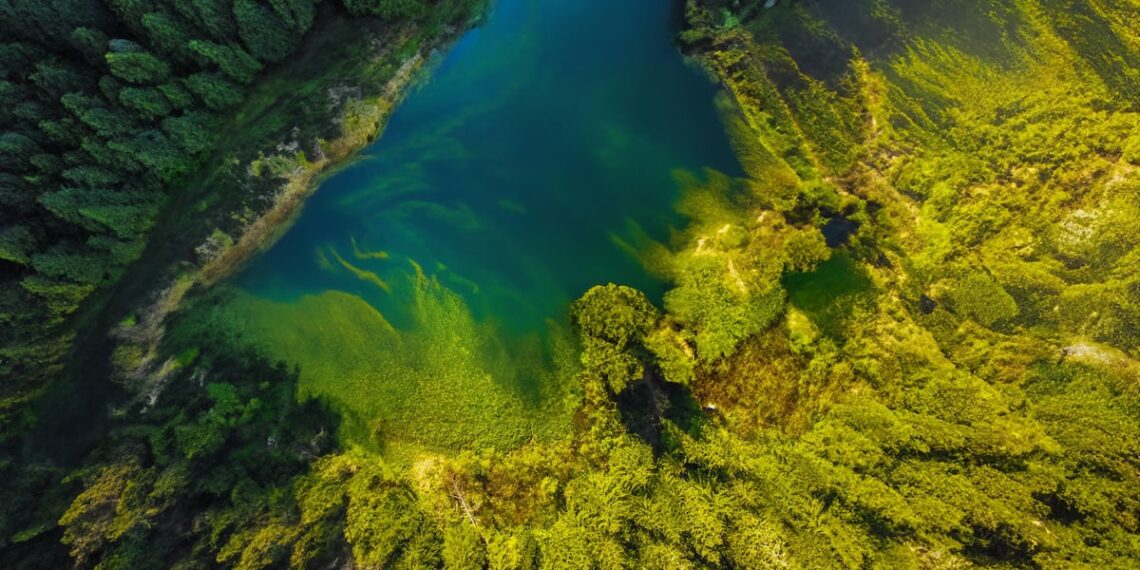 Fermentalg unveils new ‘sustainability inspired’ logo