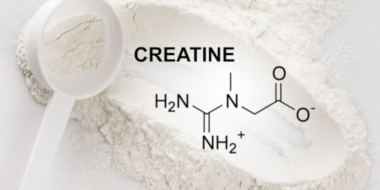 Study explores creatine and strength training on lean body mass
