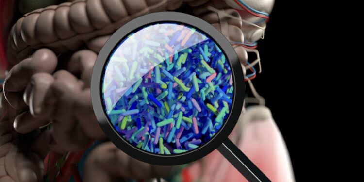 Probiotics could improve post-menopausal vaginal health