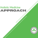 Holistic Medicine Approach | Bradford Wellness Co.