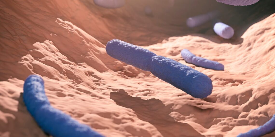 Probiotic blend may repair ‘leaky gut’