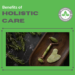 Benefits of Holistic Care | Bradford Wellness Co.