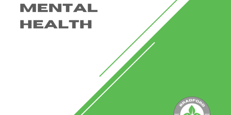 Holistic Model of Mental Health